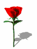 những bông hoa hình-ảnh-hoạt-hình-gif